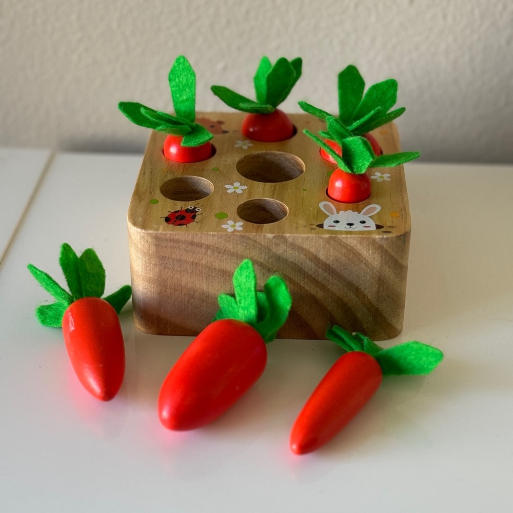 Wooden Carrot Harvest Toy Set